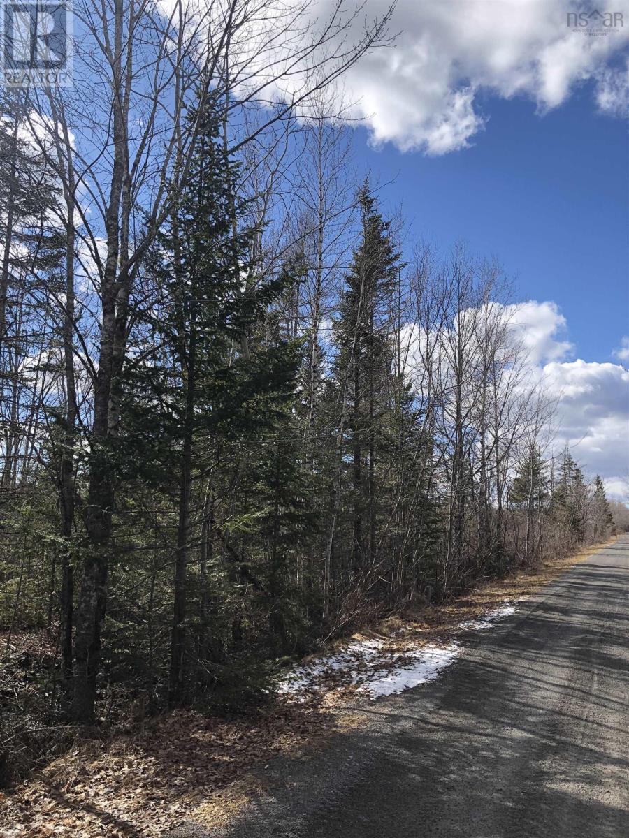 Lot I Slade Road, Bayhead, Nova Scotia  B0K 1V0 - Photo 5 - 202405511