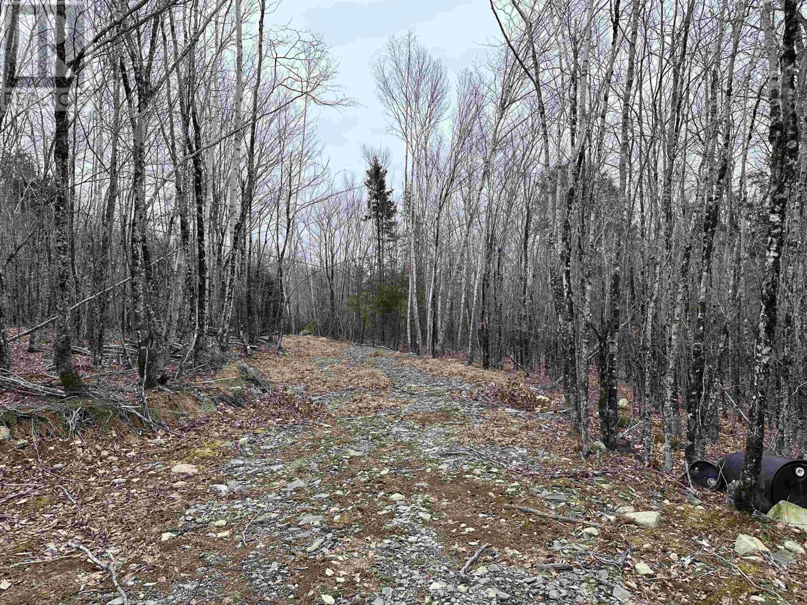 Lot 30 Maplesue Point Drive, Molega, Nova Scotia  B0T 1X0 - Photo 8 - 202405521