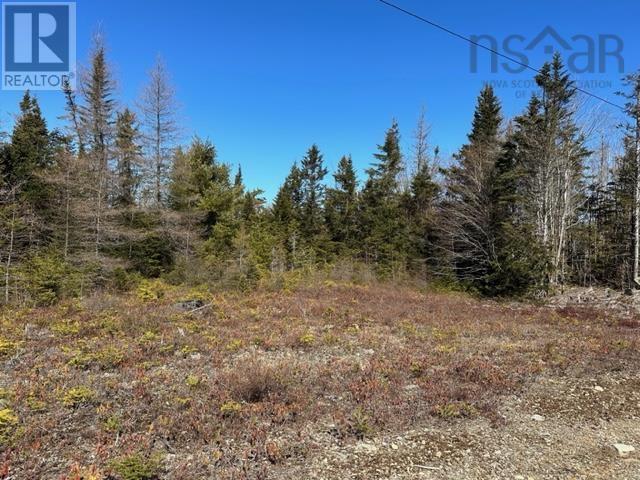 Lot R-8 Road, New Chester, Nova Scotia  B0J 2K0 - Photo 2 - 202405529