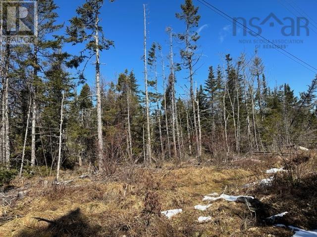 Lot R-8 Road, New Chester, Nova Scotia  B0J 2K0 - Photo 3 - 202405529