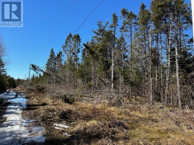 Lot R-8 Road, New Chester, Nova Scotia  B0J 2K0 - Photo 1 - 202405530