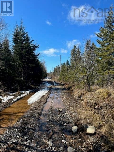 Lot R-8 Road, New Chester, Nova Scotia  B0J 2K0 - Photo 2 - 202405530