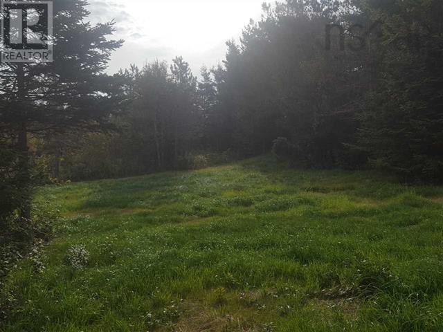 Back Bay Road, Terence Bay, Nova Scotia  B3T 1Y1 - Photo 14 - 202405719