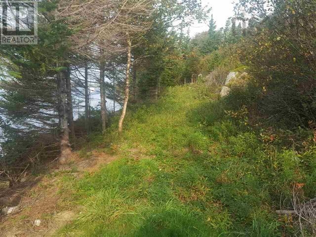 Back Bay Road, Terence Bay, Nova Scotia  B3T 1Y1 - Photo 16 - 202405719