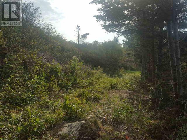 Back Bay Road, Terence Bay, Nova Scotia  B3T 1Y1 - Photo 22 - 202405719