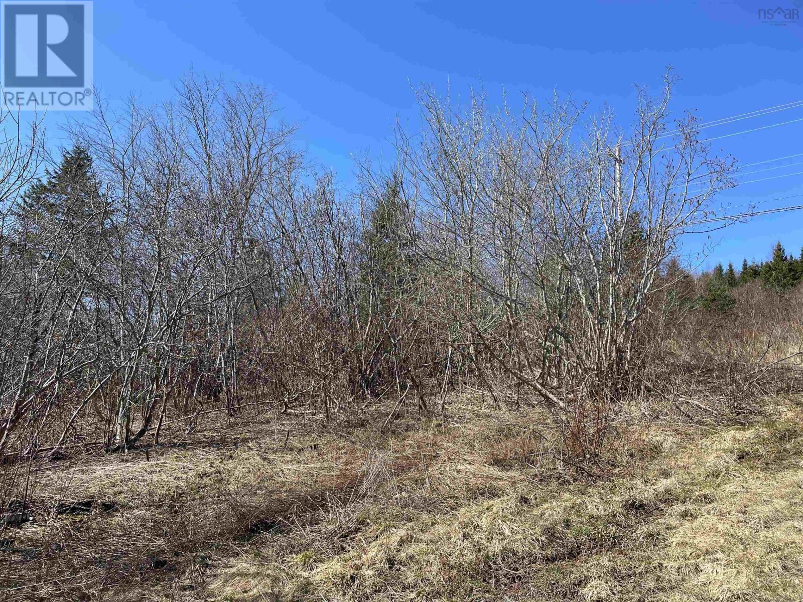 Lot Highway 236, Beaver Brook, Nova Scotia  B6L 1E2 - Photo 2 - 202405997