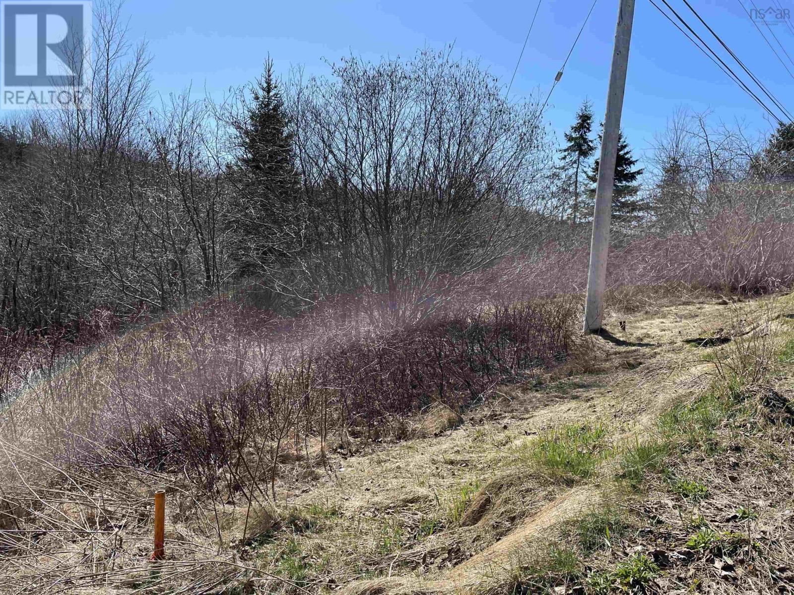 Lot Highway 236, Beaver Brook, Nova Scotia  B6L 1E2 - Photo 3 - 202405997