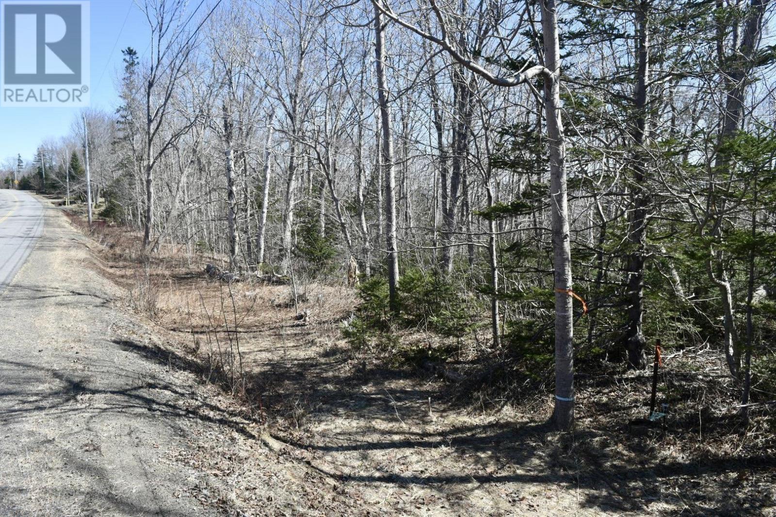 Lots Brow Of Mountain Road, Brow Of The Mountain, Nova Scotia  B0P 1J0 - Photo 14 - 202406532