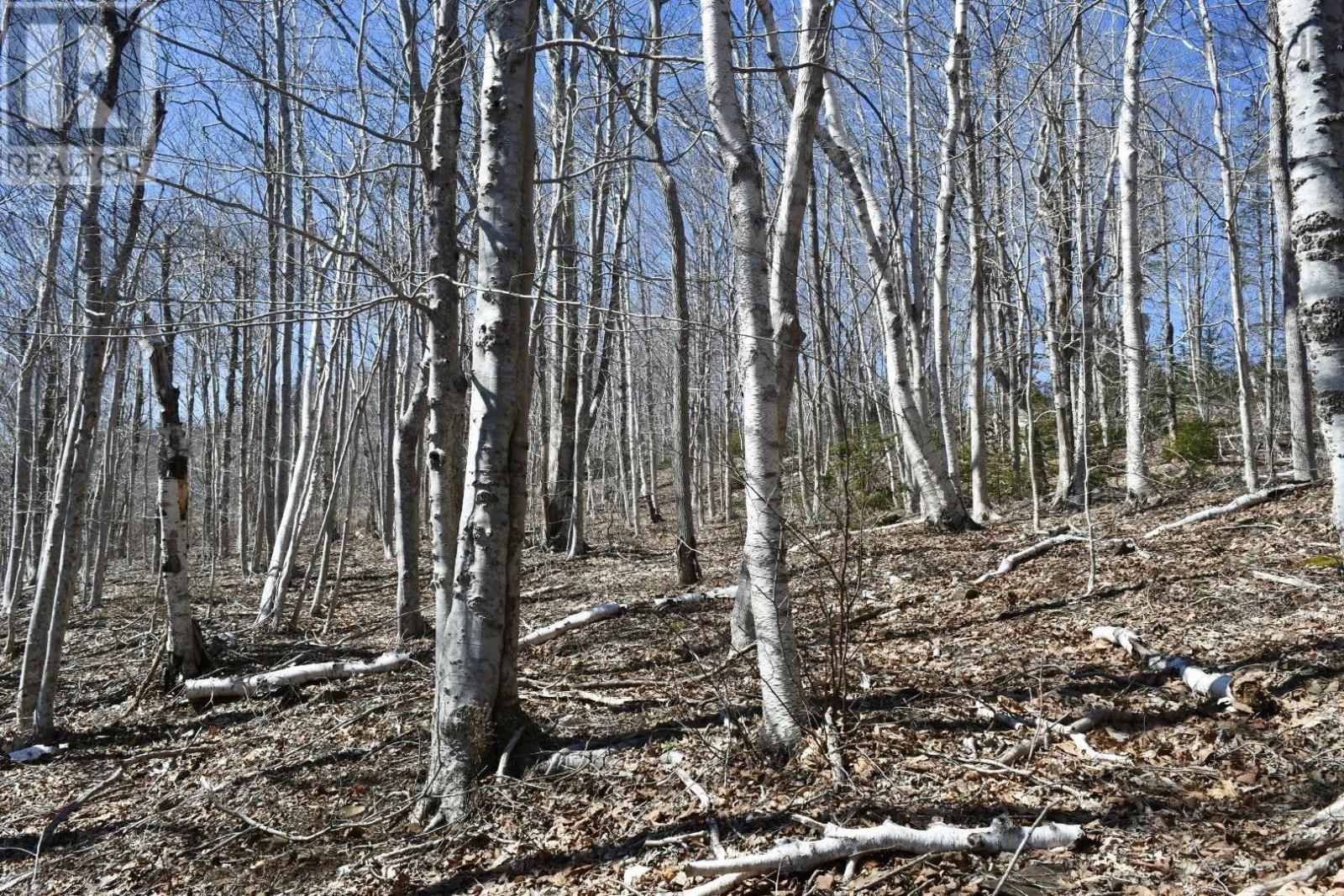 Lots Brow Of Mountain Road, Brow Of The Mountain, Nova Scotia  B0P 1J0 - Photo 18 - 202406532