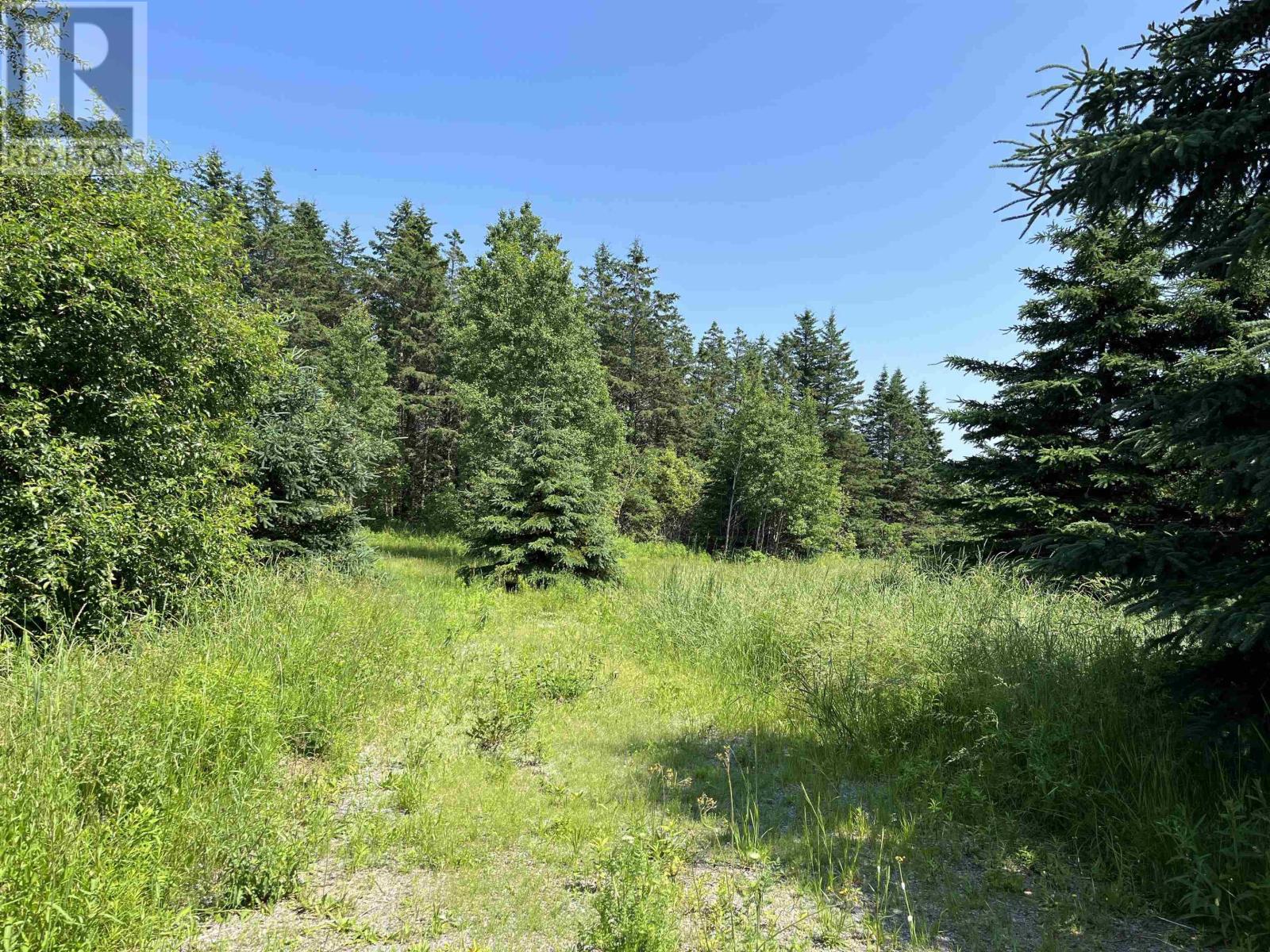 Lot Baxters Harbour Road, Glenmont, Nova Scotia  B0P 1H0 - Photo 4 - 202406541