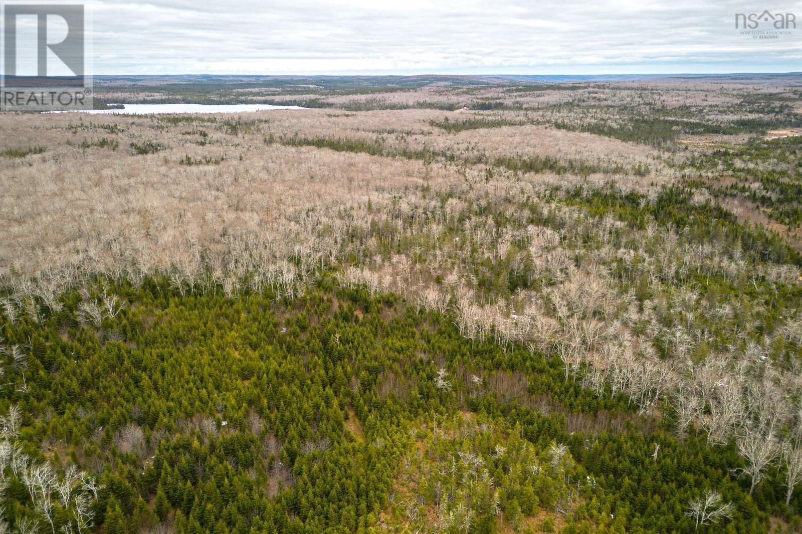 152 Acres Upper Glencoe Road, Erinville, Nova Scotia  B0H 1N0 - Photo 18 - 202406550