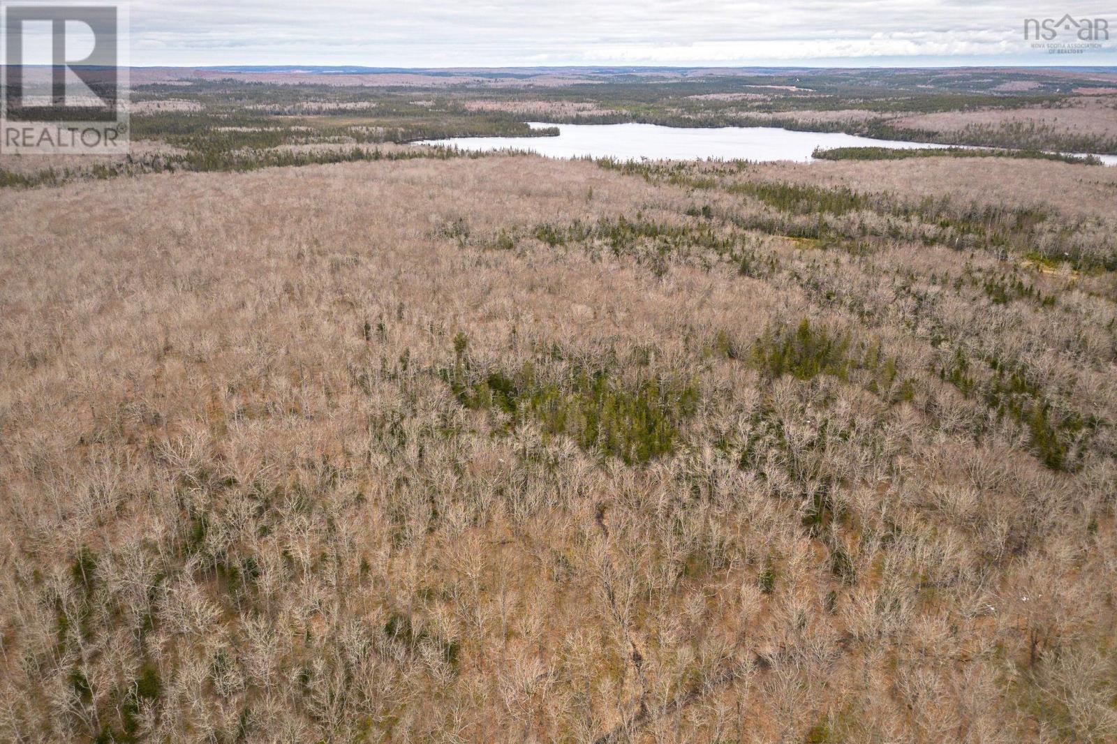 152 Acres Upper Glencoe Road, Erinville, Nova Scotia  B0H 1N0 - Photo 19 - 202406550