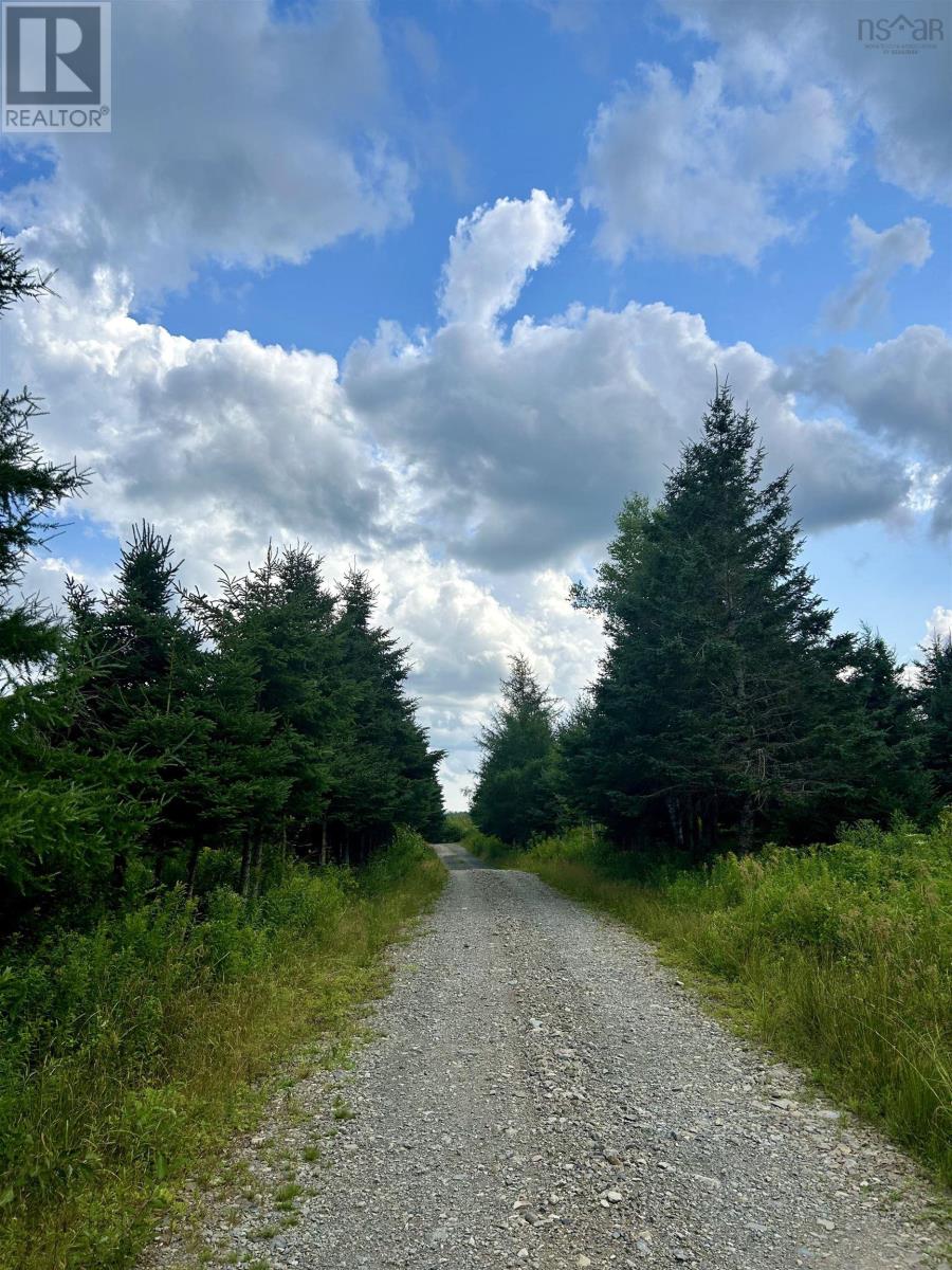 152 Acres Upper Glencoe Road, Erinville, Nova Scotia  B0H 1N0 - Photo 2 - 202406550