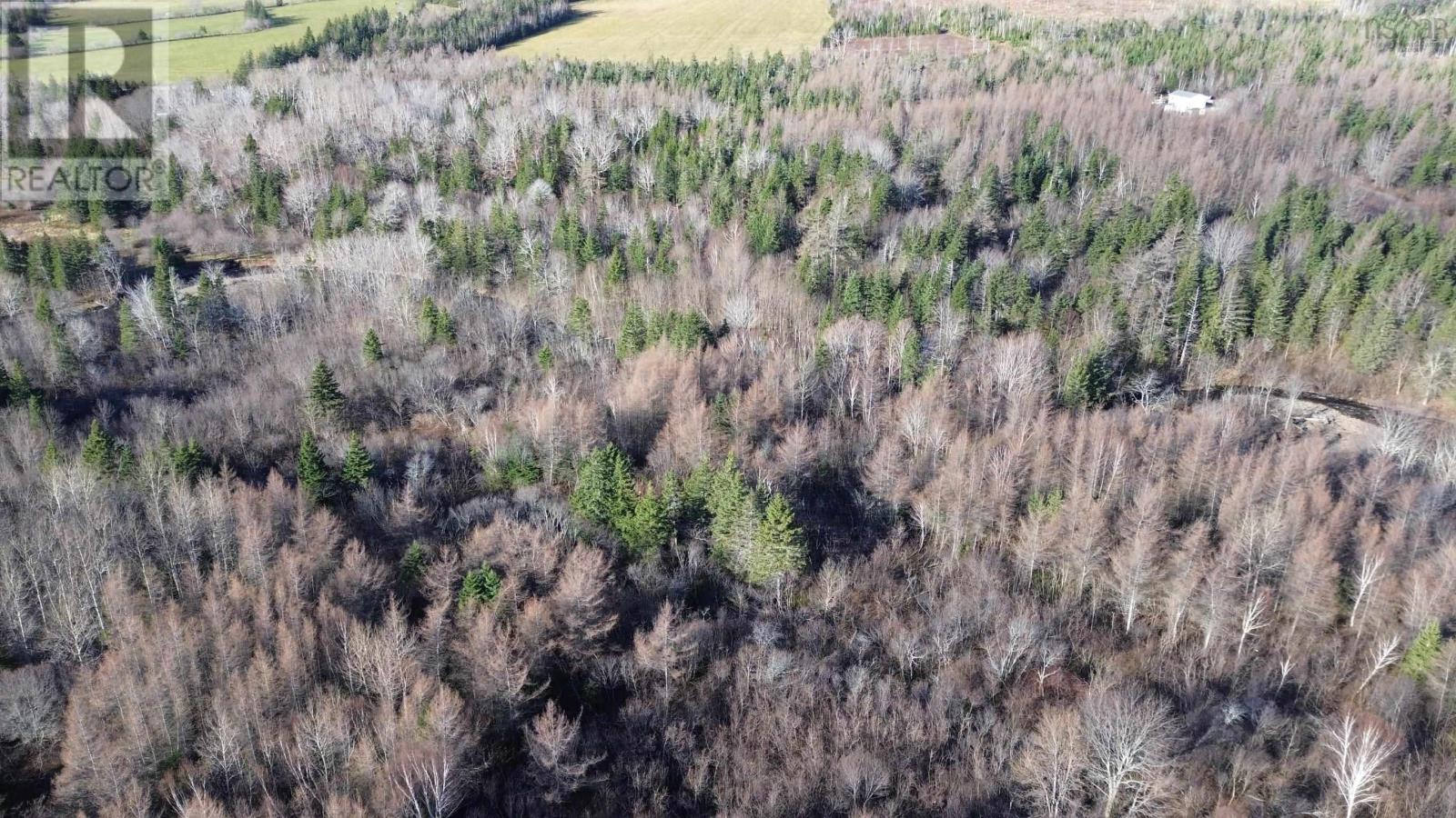 Lot 2 Mabou Road, Judique North, Nova Scotia  B0E 1P0 - Photo 17 - 202406559