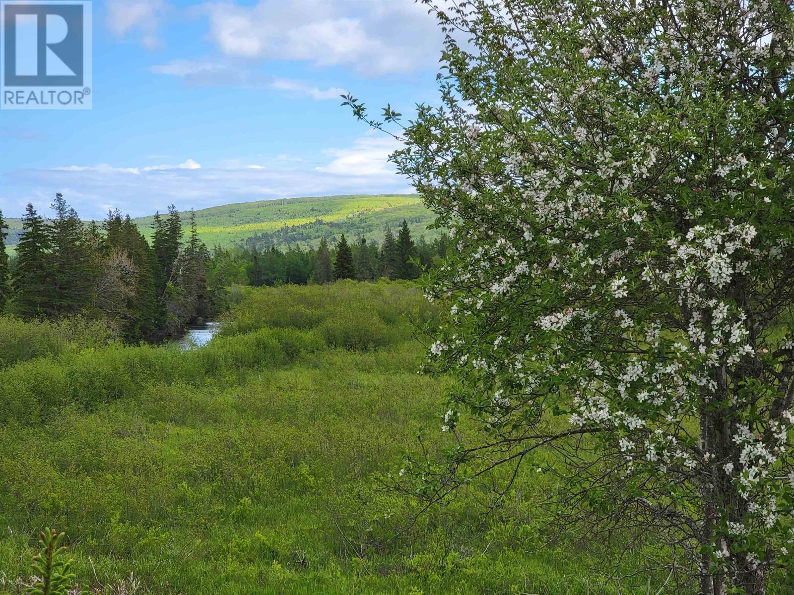 3 & 4 Barren Road, River Denys, Nova Scotia  B0E 2Y0 - Photo 4 - 202407053