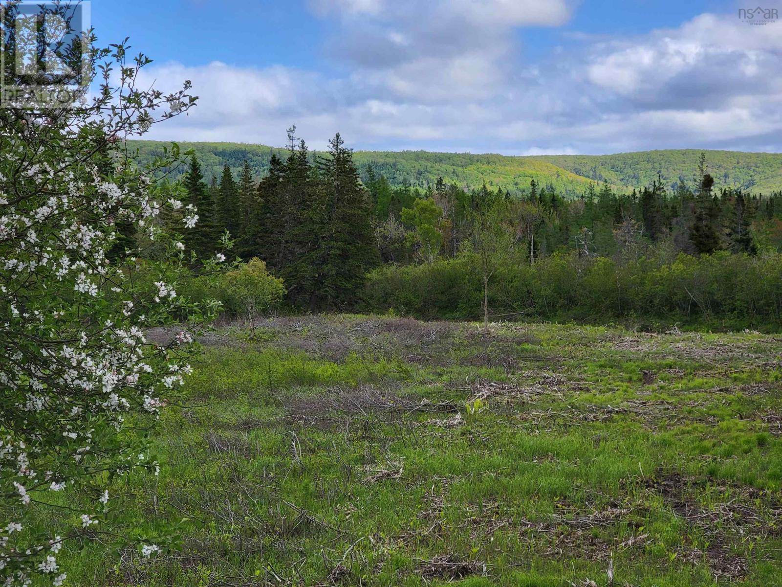 3 & 4 Barren Road, River Denys, Nova Scotia  B0E 2Y0 - Photo 5 - 202407053