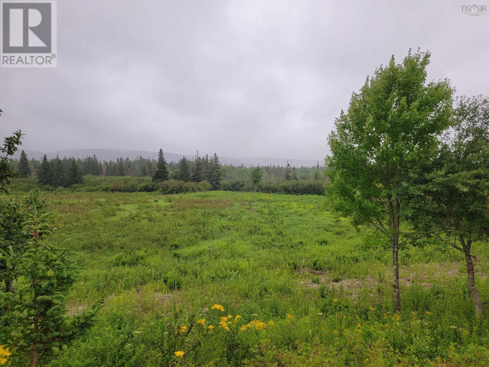 3 & 4 Barren Road, River Denys, Nova Scotia  B0E 2Y0 - Photo 8 - 202407053