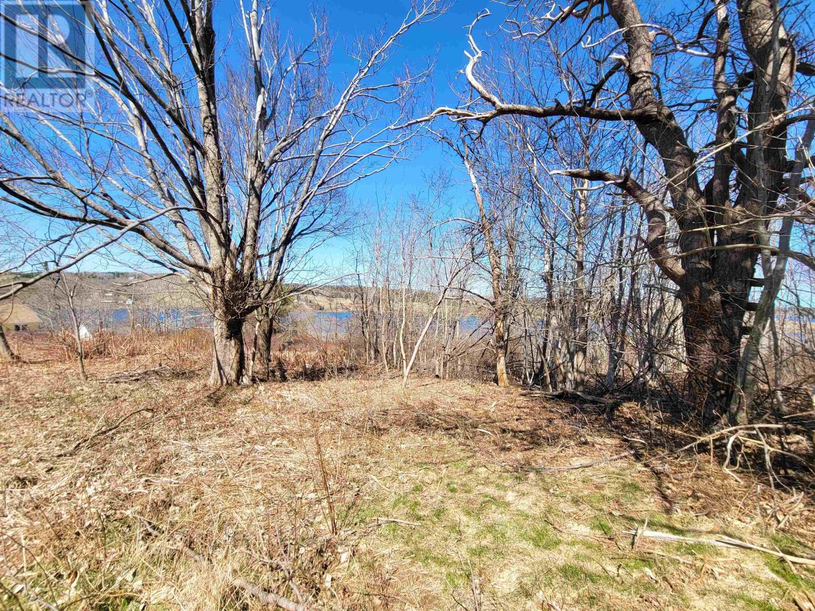 Lot 8 Creighton Street, Lunenburg, Nova Scotia  B0J 2C0 - Photo 12 - 202407184