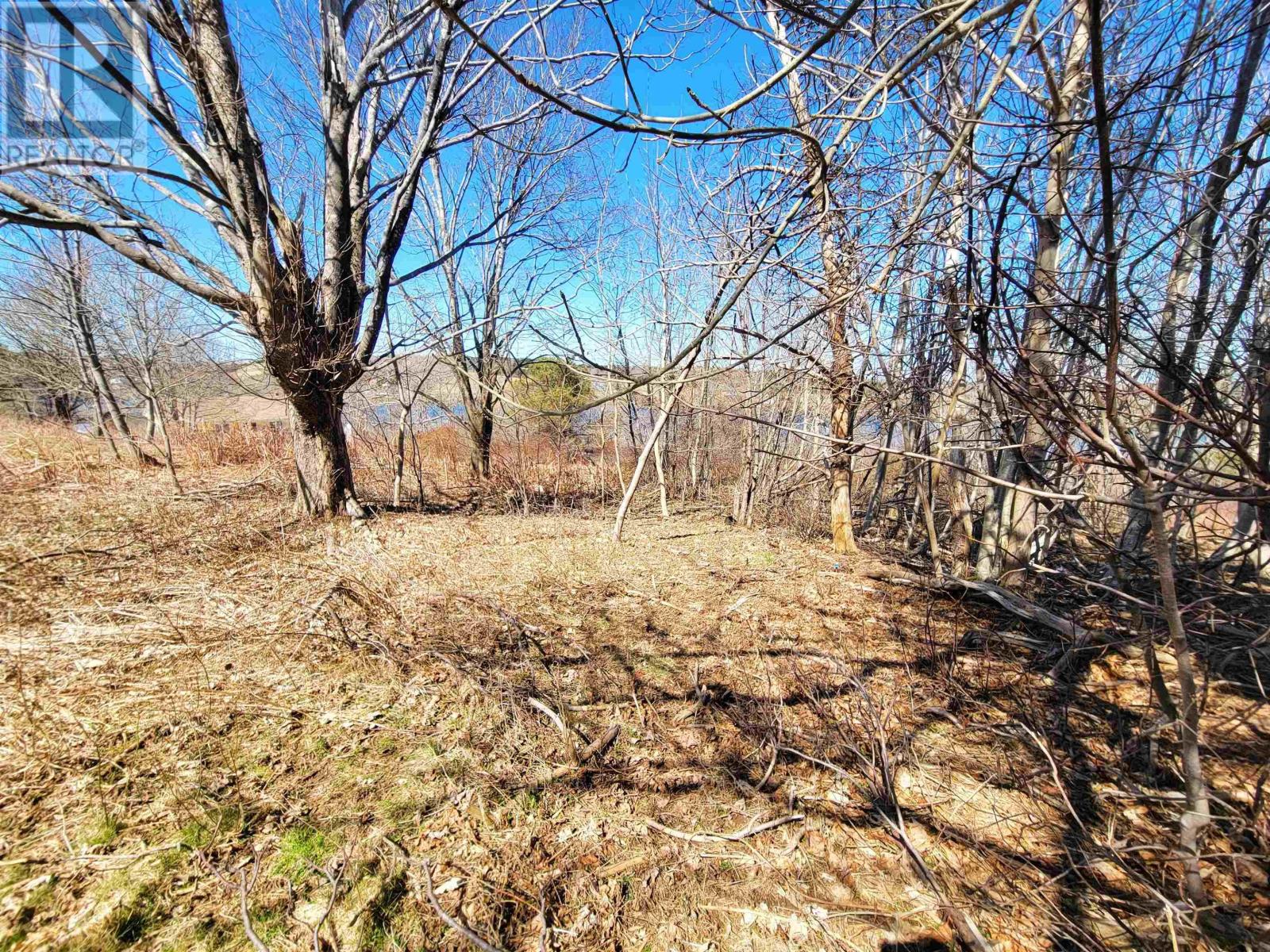 Lot 8 Creighton Street, Lunenburg, Nova Scotia  B0J 2C0 - Photo 13 - 202407184