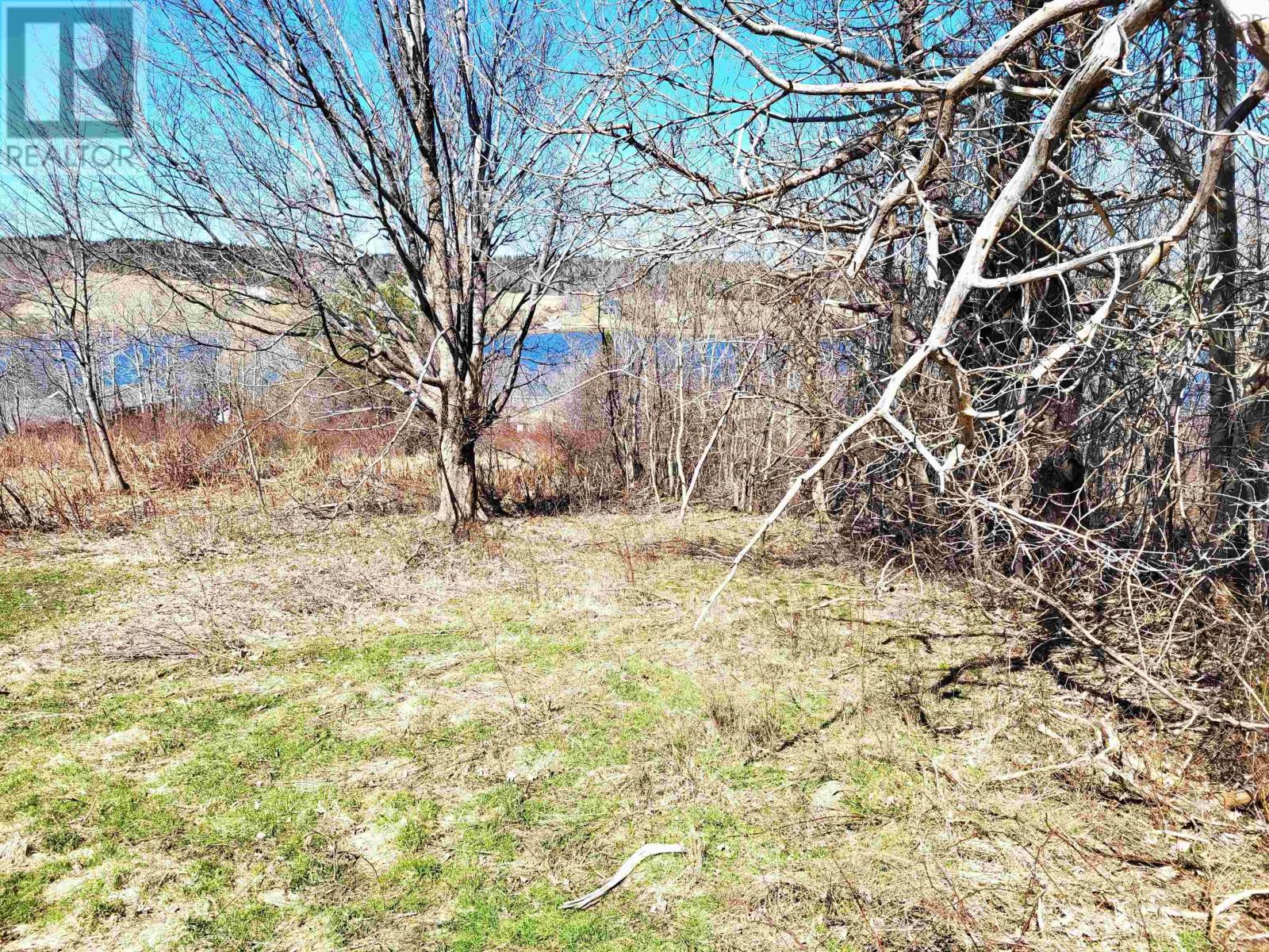 Lot 8 Creighton Street, Lunenburg, Nova Scotia  B0J 2C0 - Photo 17 - 202407184