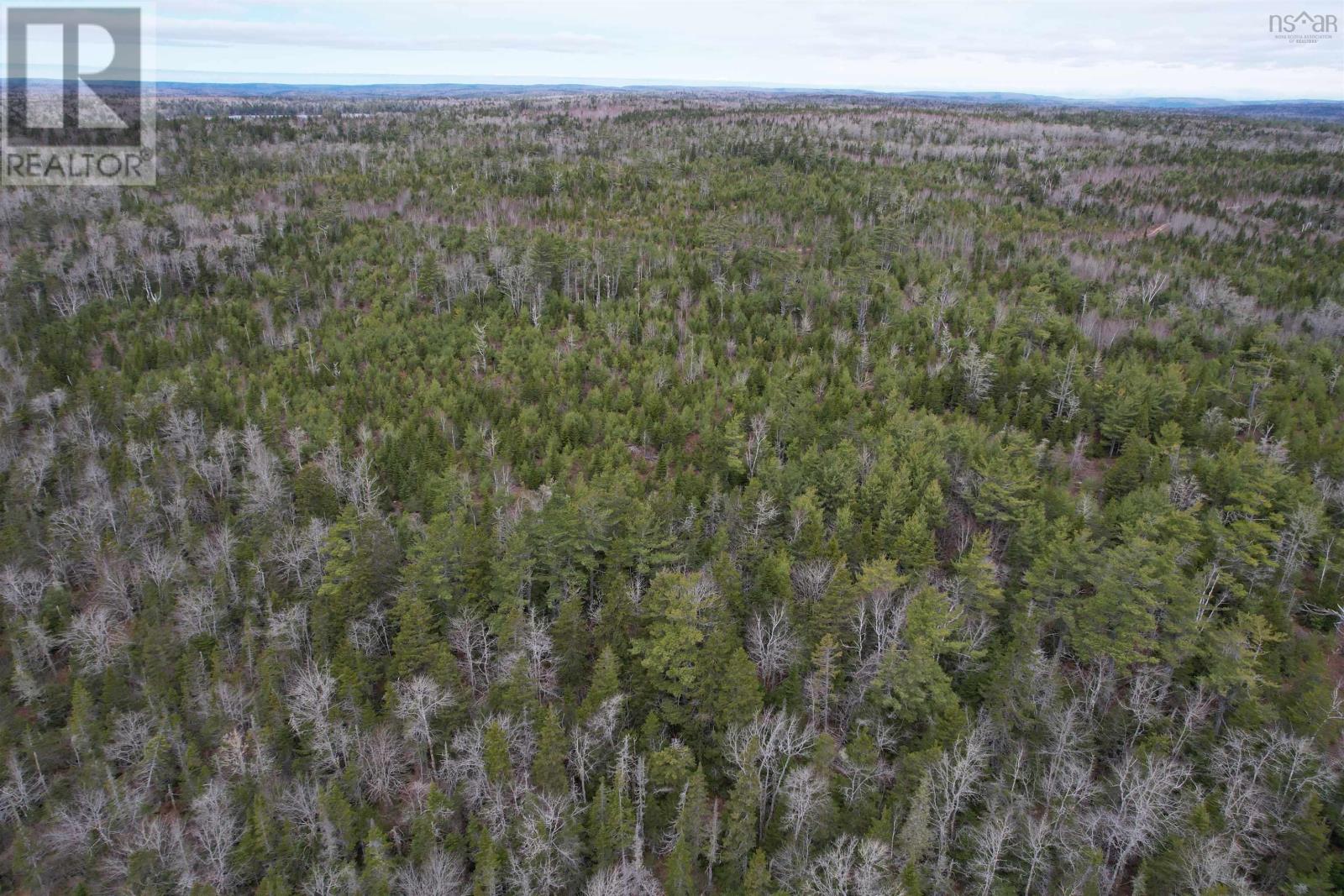 Lots Baillie Lake Road, Virginia, Nova Scotia  B0S 1A0 - Photo 10 - 202407272