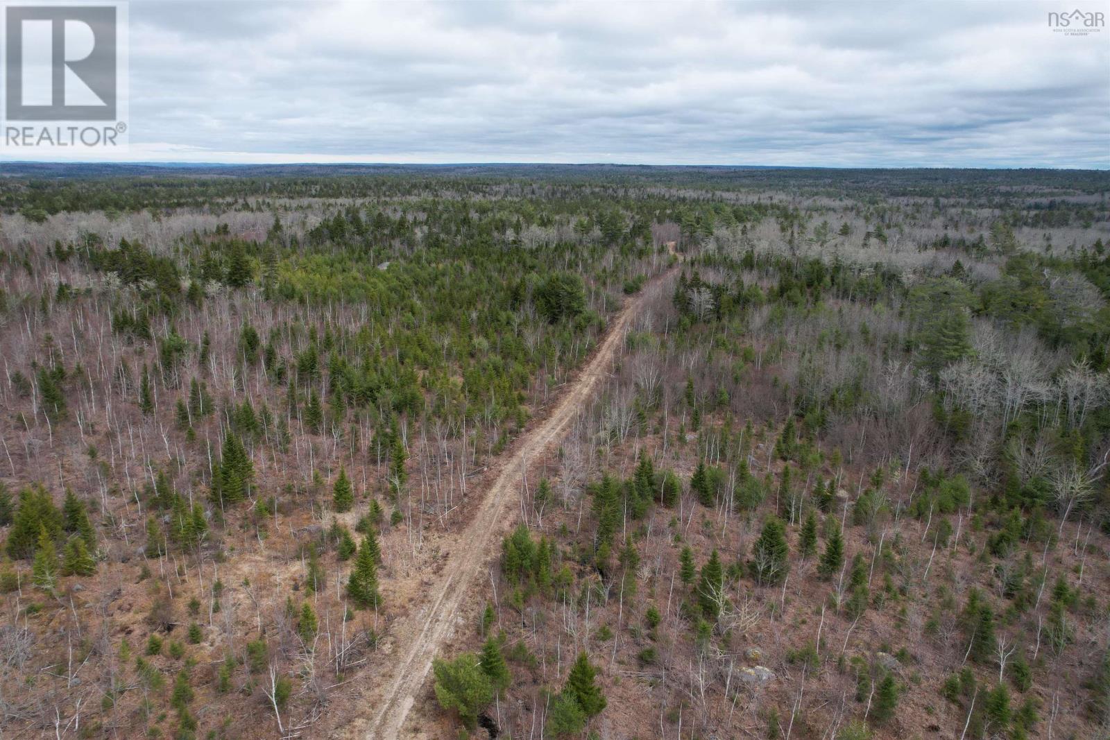 Lots Baillie Lake Road, Virginia, Nova Scotia  B0S 1A0 - Photo 12 - 202407272