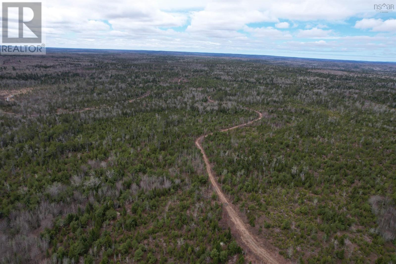 Lots Baillie Lake Road, Virginia, Nova Scotia  B0S 1A0 - Photo 13 - 202407272