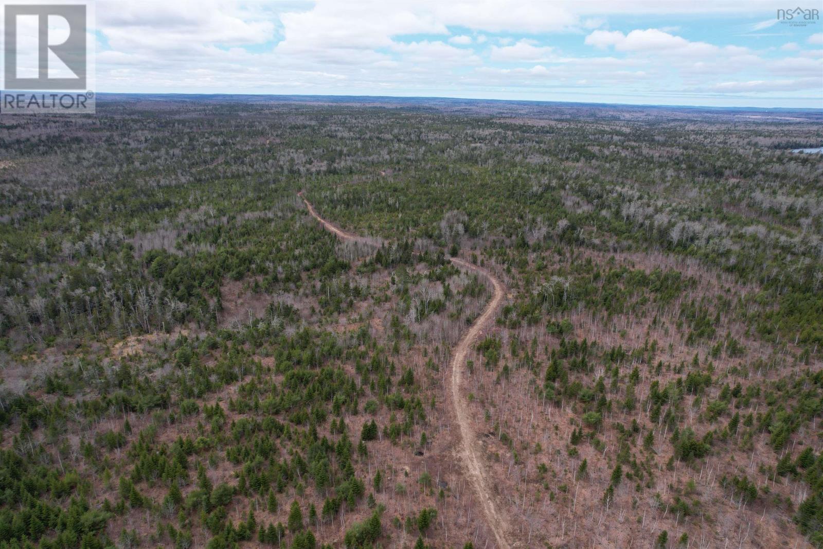 Lots Baillie Lake Road, Virginia, Nova Scotia  B0S 1A0 - Photo 4 - 202407272