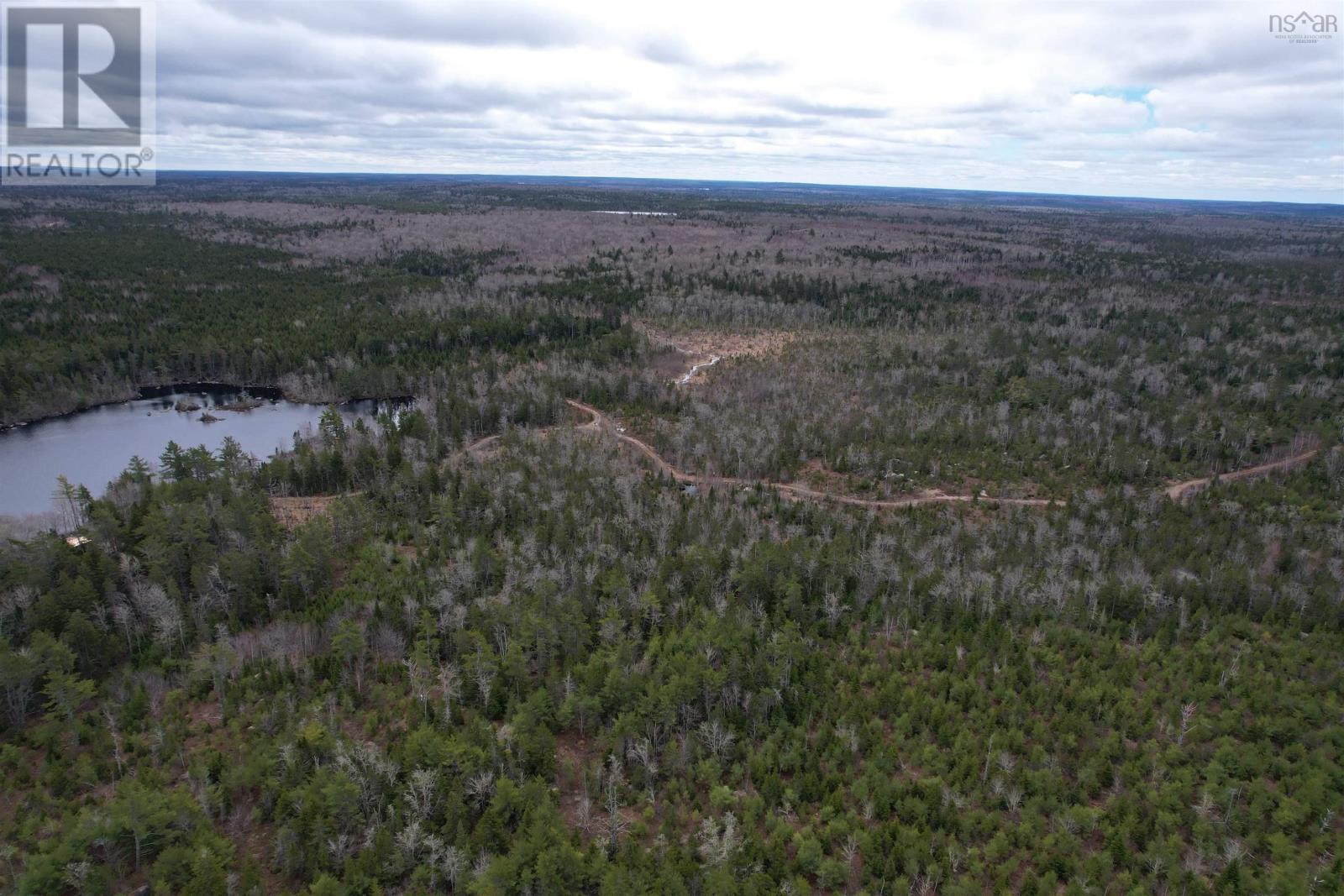 Lots Baillie Lake Road, Virginia, Nova Scotia  B0S 1A0 - Photo 5 - 202407272