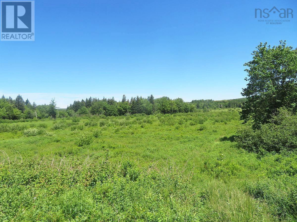 62 Acres West Side Road, West Side Country Harbour, Nova Scotia  B0H 1J0 - Photo 12 - 202407283