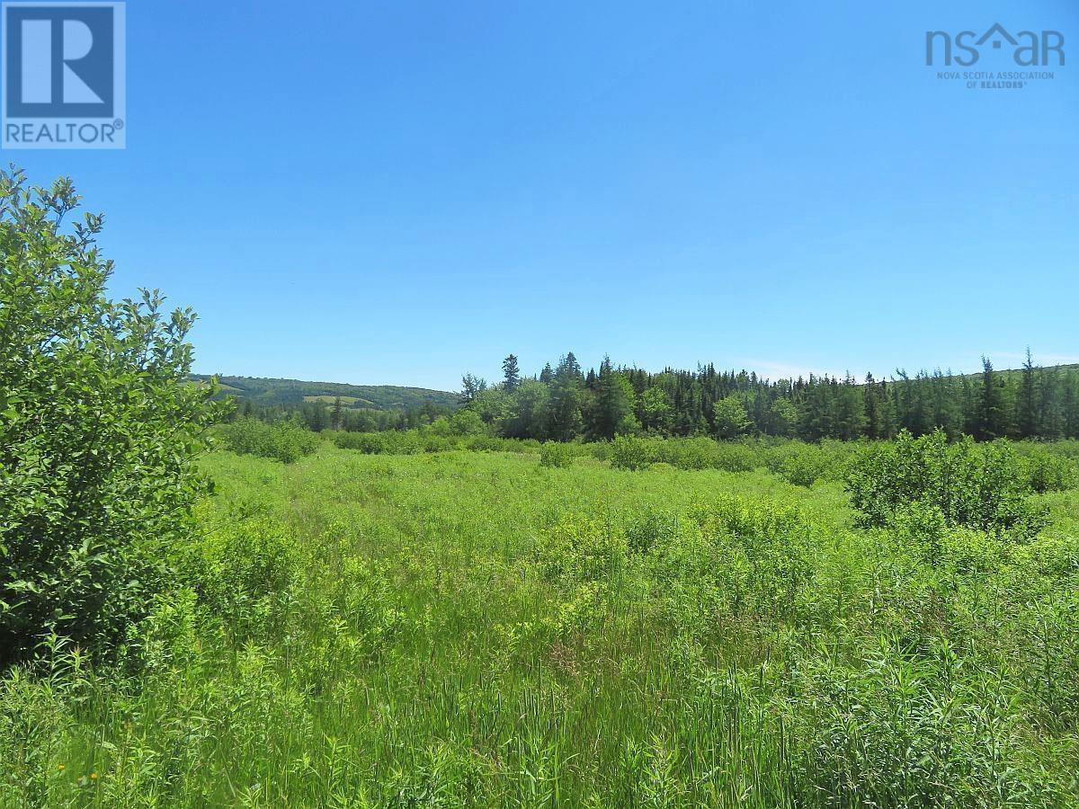 62 Acres West Side Road, West Side Country Harbour, Nova Scotia  B0H 1J0 - Photo 13 - 202407283