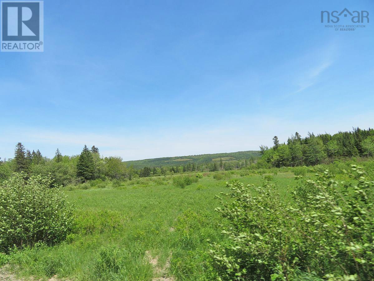 62 Acres West Side Road, West Side Country Harbour, Nova Scotia  B0H 1J0 - Photo 14 - 202407283