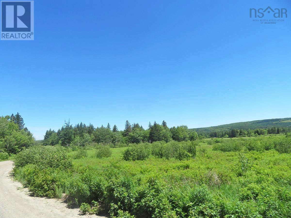 62 Acres West Side Road, West Side Country Harbour, Nova Scotia  B0H 1J0 - Photo 15 - 202407283