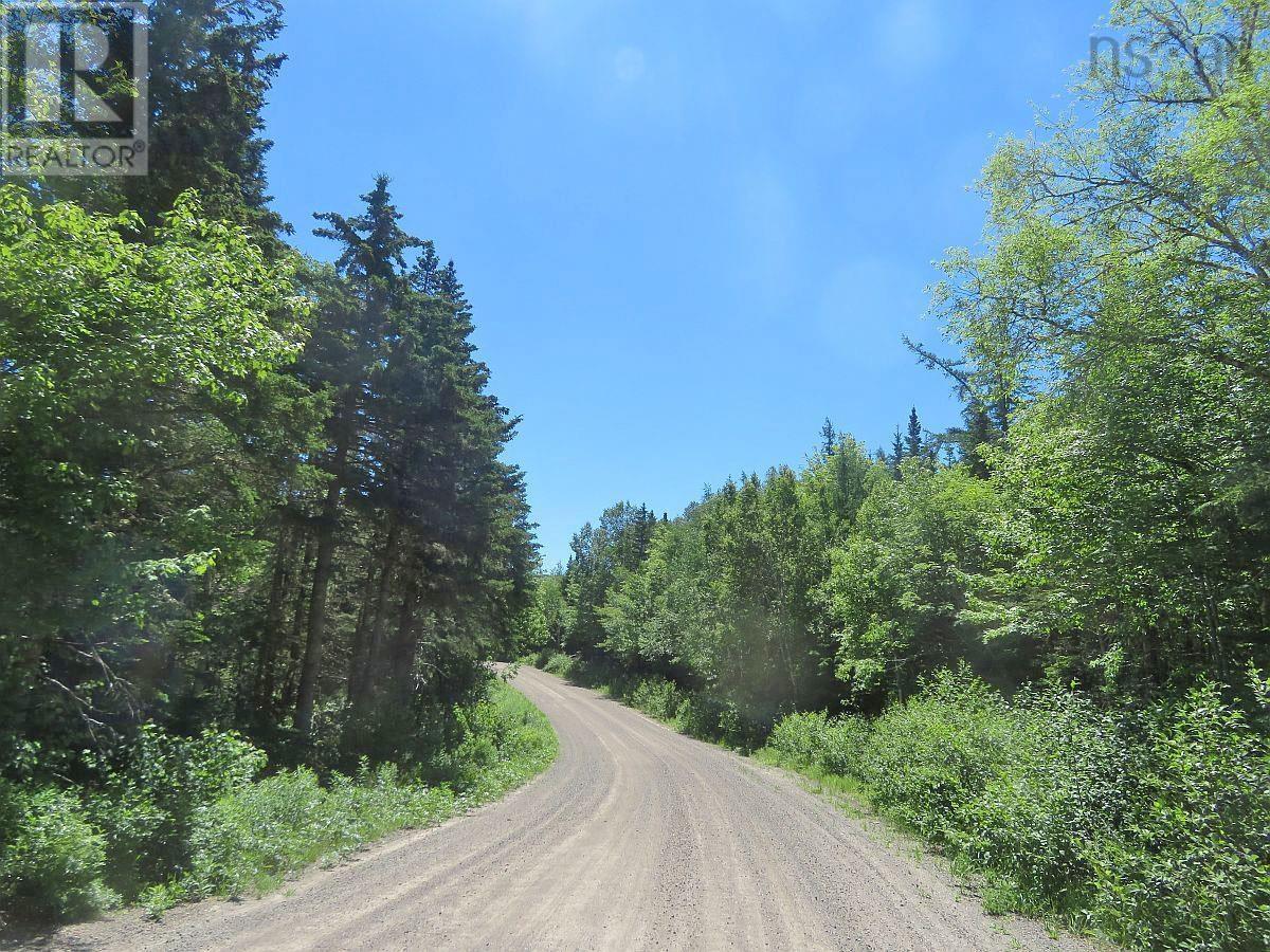 62 Acres West Side Road, West Side Country Harbour, Nova Scotia  B0H 1J0 - Photo 17 - 202407283