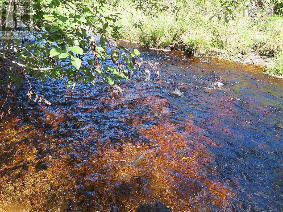 62 Acres West Side Road, West Side Country Harbour, Nova Scotia  B0H 1J0 - Photo 18 - 202407283