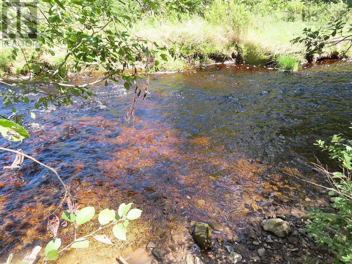 62 Acres West Side Road, West Side Country Harbour, Nova Scotia  B0H 1J0 - Photo 19 - 202407283