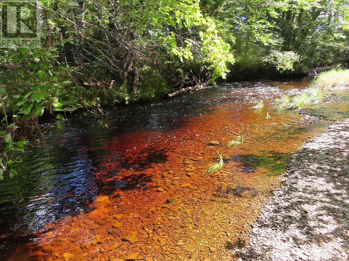 62 Acres West Side Road, West Side Country Harbour, Nova Scotia  B0H 1J0 - Photo 20 - 202407283