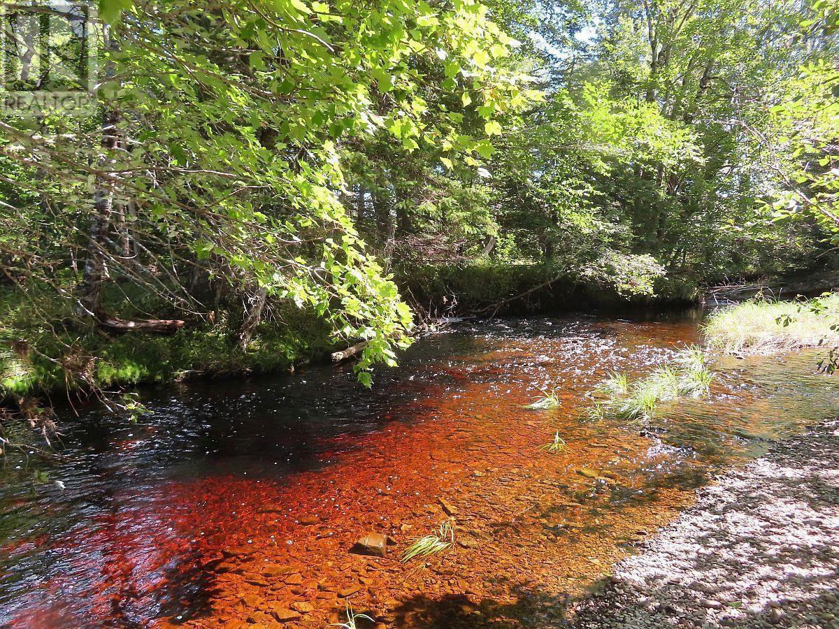 62 Acres West Side Road, West Side Country Harbour, Nova Scotia  B0H 1J0 - Photo 21 - 202407283