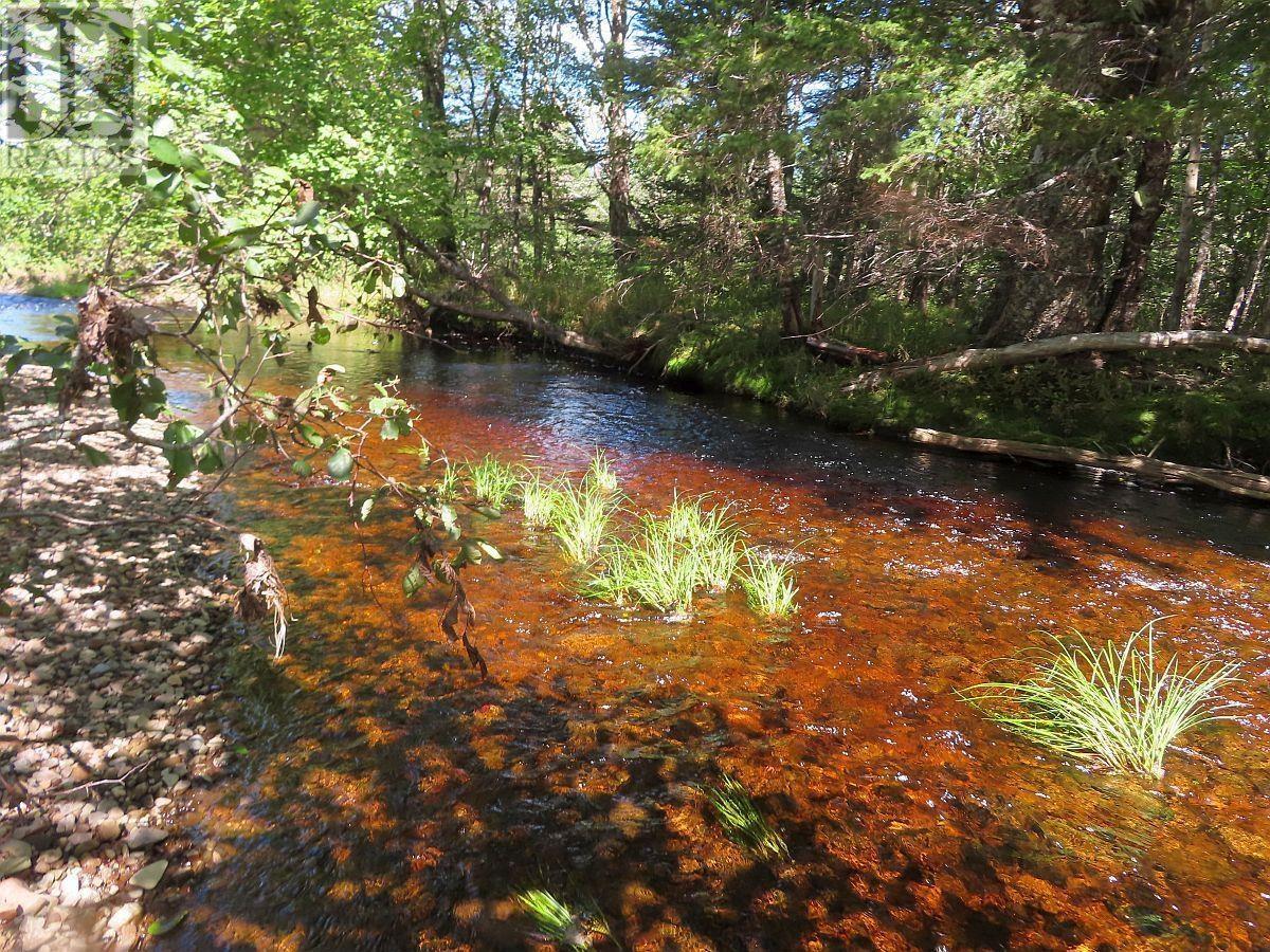 62 Acres West Side Road, West Side Country Harbour, Nova Scotia  B0H 1J0 - Photo 22 - 202407283