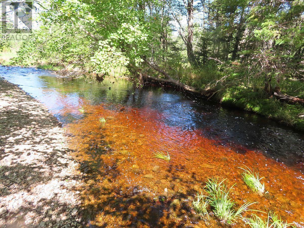 62 Acres West Side Road, West Side Country Harbour, Nova Scotia  B0H 1J0 - Photo 23 - 202407283