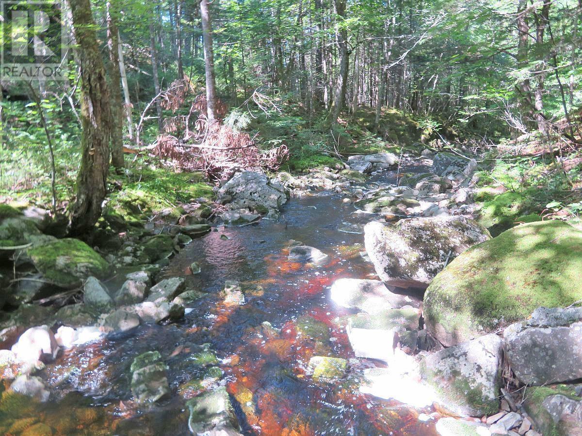 62 Acres West Side Road, West Side Country Harbour, Nova Scotia  B0H 1J0 - Photo 35 - 202407283