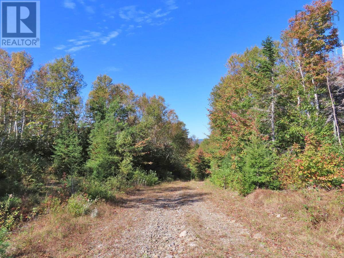 62 Acres West Side Road, West Side Country Harbour, Nova Scotia  B0H 1J0 - Photo 36 - 202407283