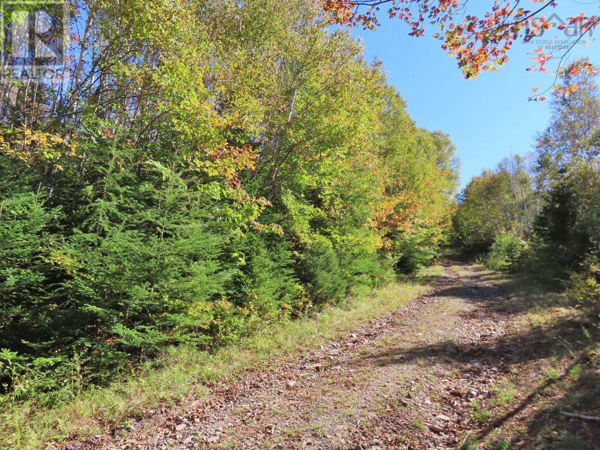 62 Acres West Side Road, West Side Country Harbour, Nova Scotia  B0H 1J0 - Photo 37 - 202407283