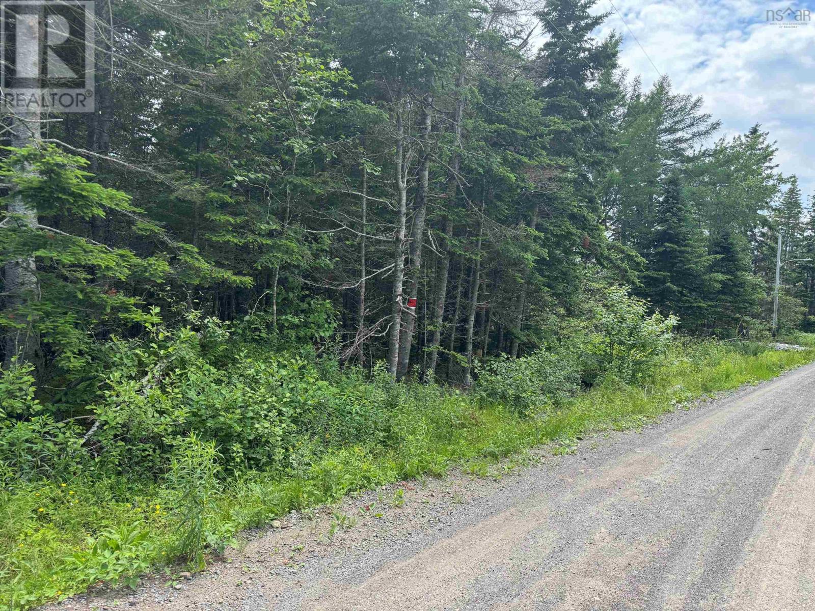 Lot 1 241 Walkerville Road, Walkerville, Nova Scotia  B0E 1J0 - Photo 17 - 202407301