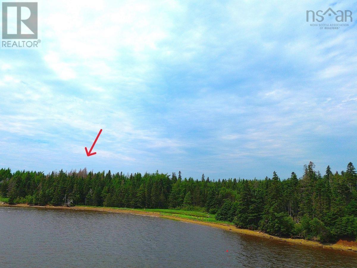 Lot 1 241 Walkerville Road, Walkerville, Nova Scotia  B0E 1J0 - Photo 2 - 202407301