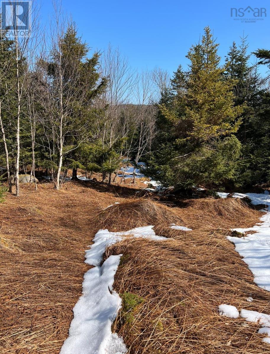 Lots Lower Lahave Road, Upper Kingsburg, Nova Scotia  B0J 2X0 - Photo 12 - 202407304