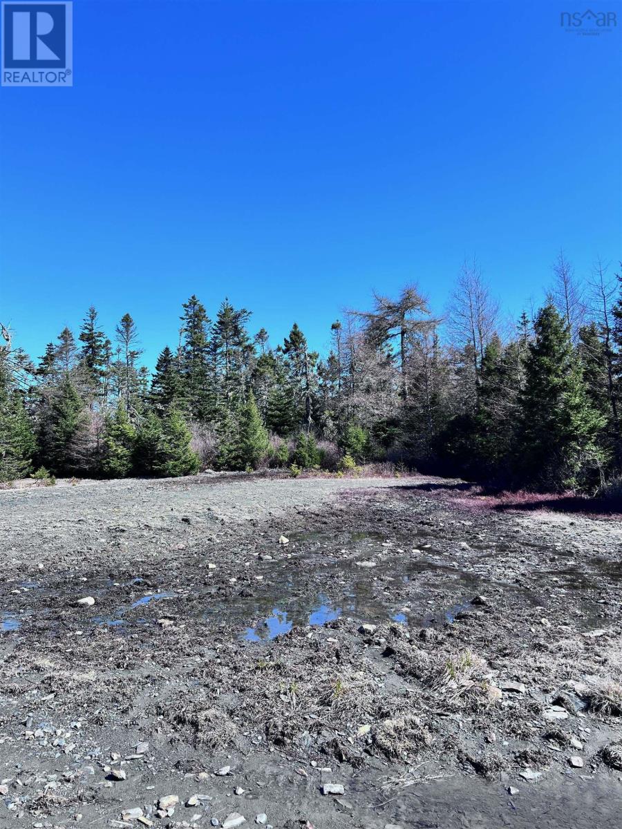 Lots Lower Lahave Road, Upper Kingsburg, Nova Scotia  B0J 2X0 - Photo 16 - 202407304