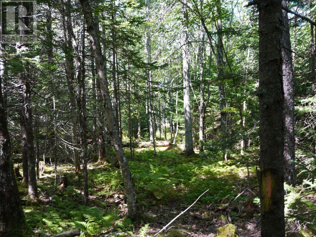 Lot 20 Golden Shore Lane, West Bay Marshes, Nova Scotia  B0E 3K0 - Photo 2 - 202407327