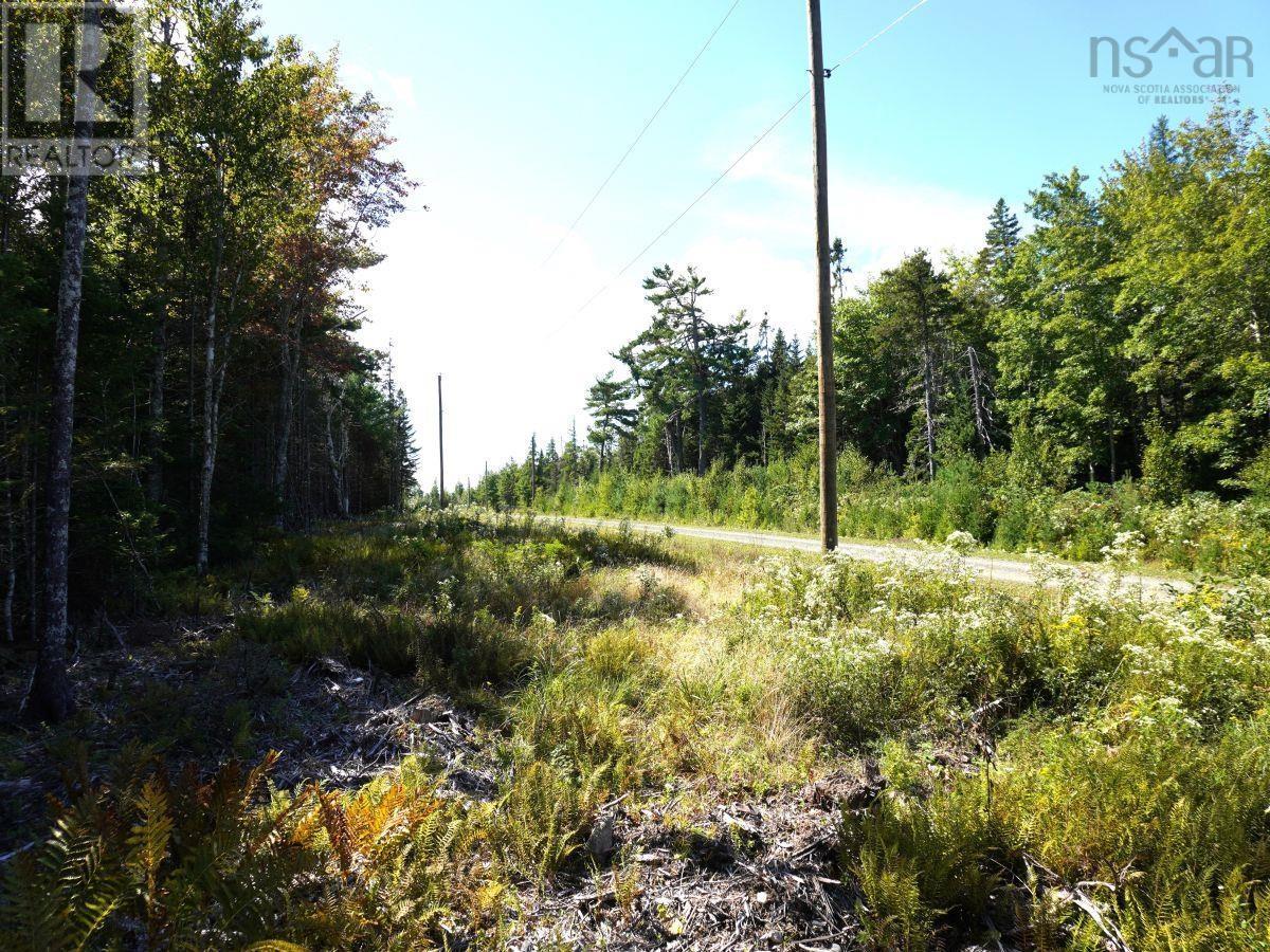 Lot 20 Golden Shore Lane, West Bay Marshes, Nova Scotia  B0E 3K0 - Photo 5 - 202407327