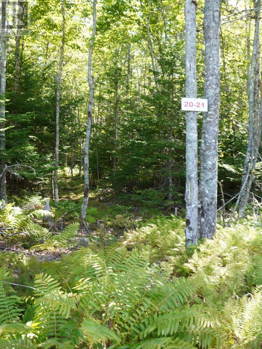 Lot 20 Golden Shore Lane, West Bay Marshes, Nova Scotia  B0E 3K0 - Photo 6 - 202407327